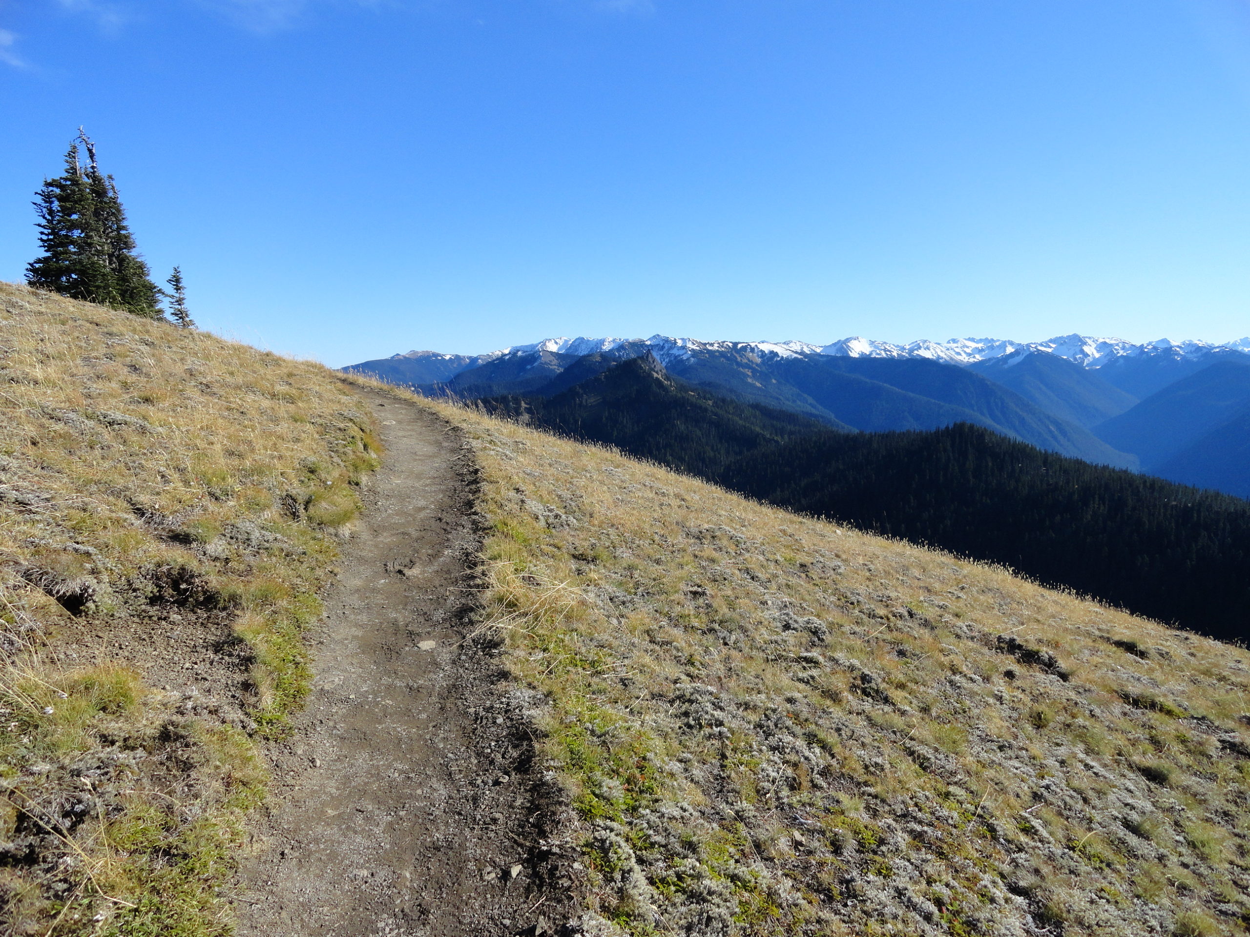 Sunrise Ridge─What a setting! – HIke of the Week