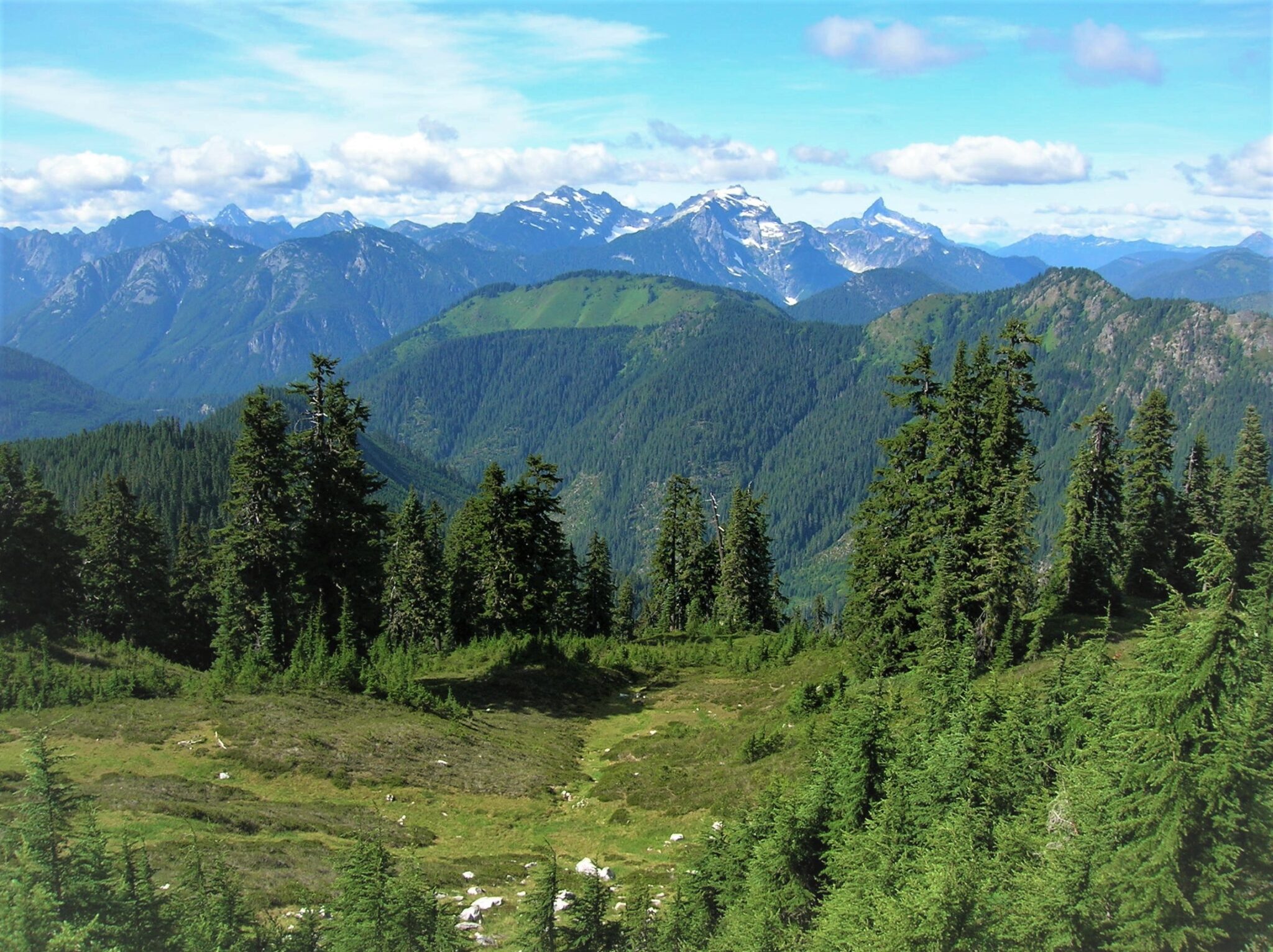 21.A Evergreen Mountain