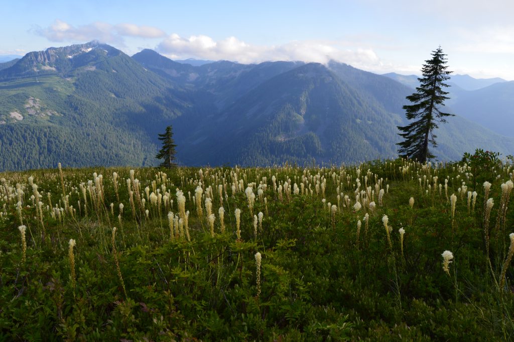 granite-mountain-classic-fire-lookout-hike-at-snoqualmie-pass-hike