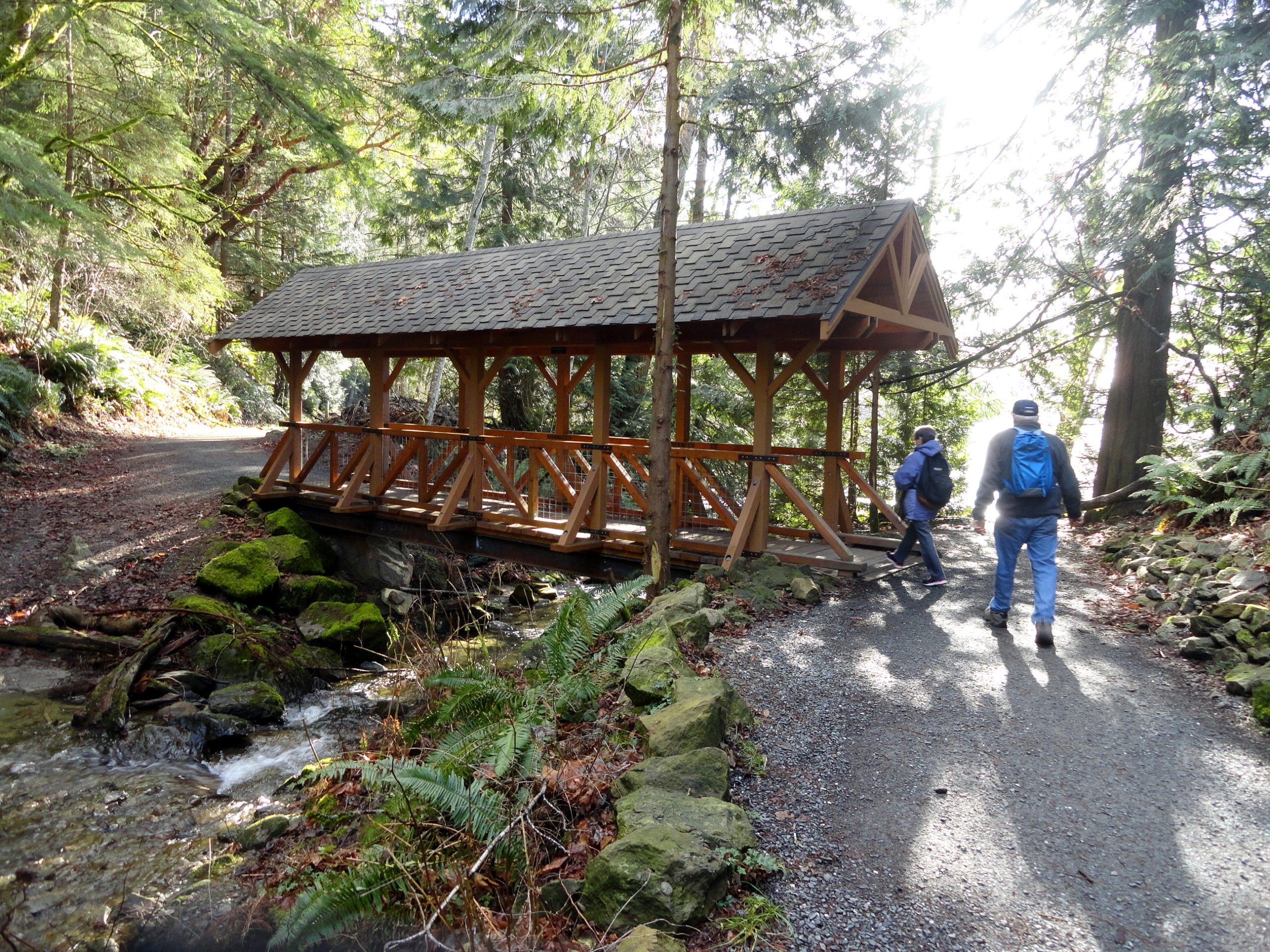 Hertz Trail Hike along a wild shoreline of Lake HIke of the Week