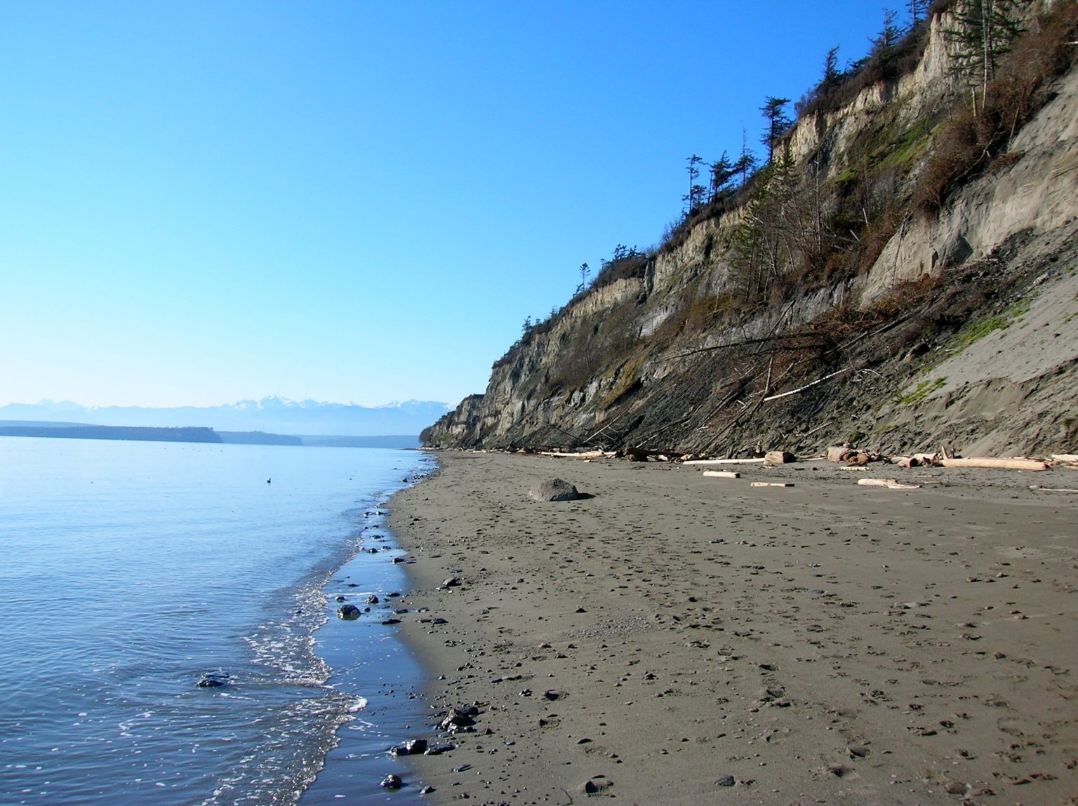 Double Bluff Dogfriendly beach hiking on Whidbey Island HIke of