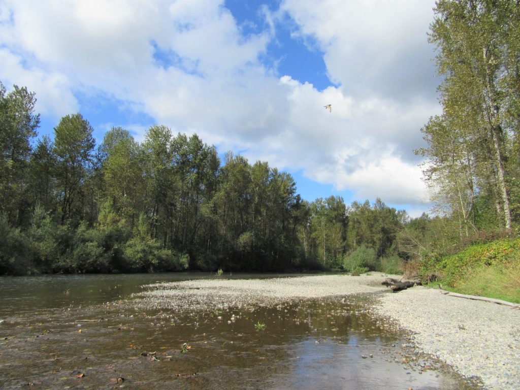 Green River Natural Area–Explore this Sprawling Greenbelt between