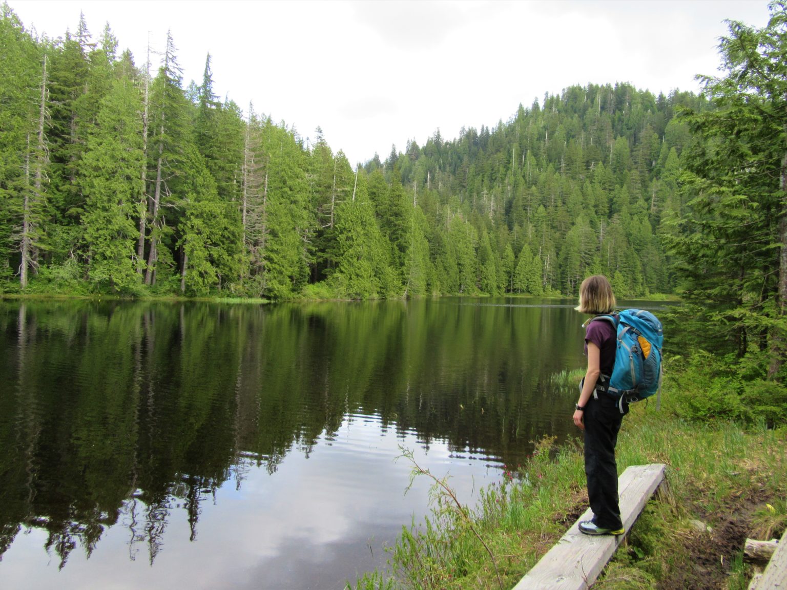 Ashland Lakes─old growth forest serenity HIke of the Week