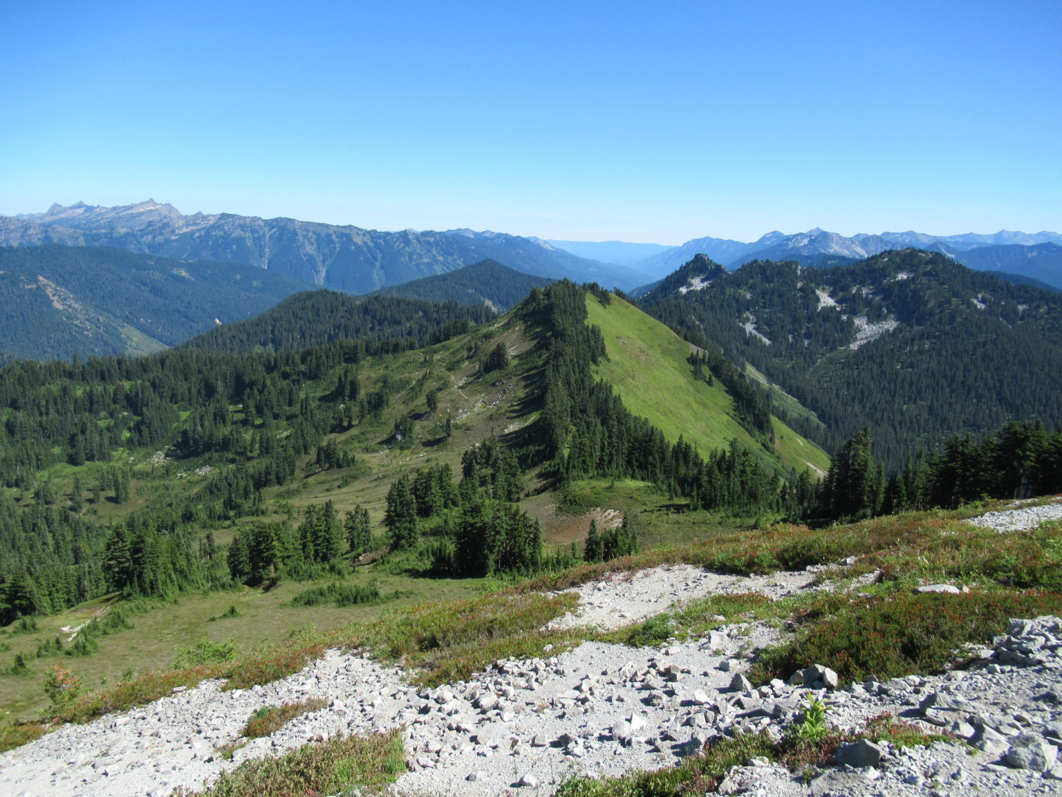 Benchmark MountainThe meadows here measure up among the best HIke of the Week