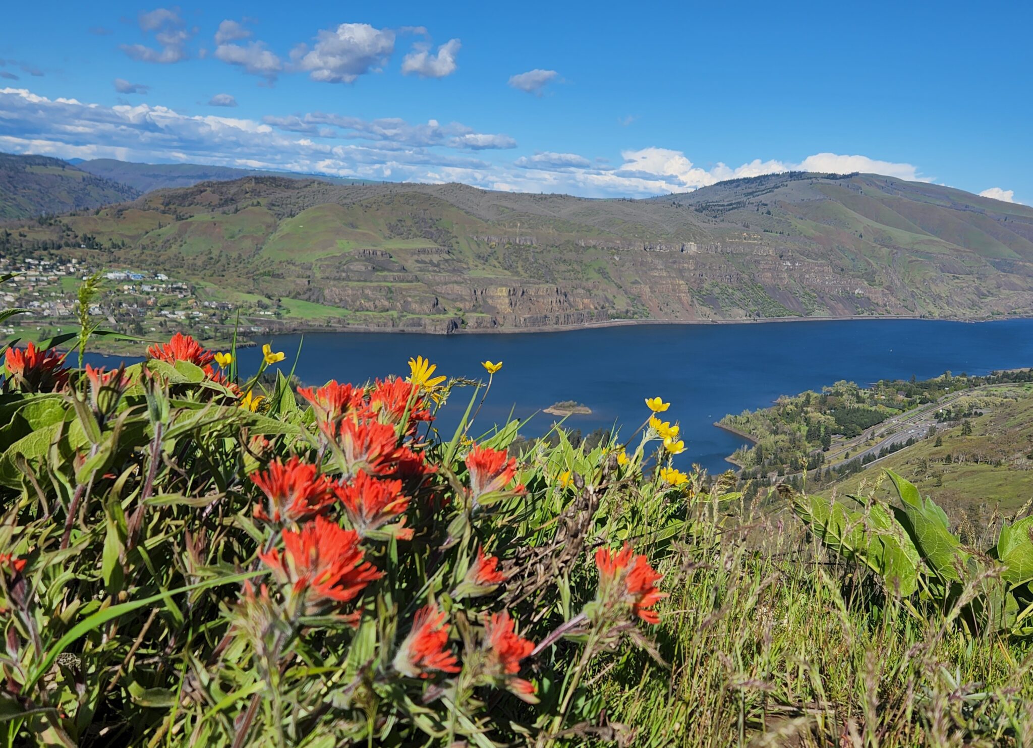 105.A Tom McCall Point